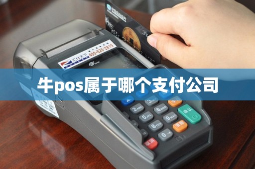 牛pos属于哪个支付公司