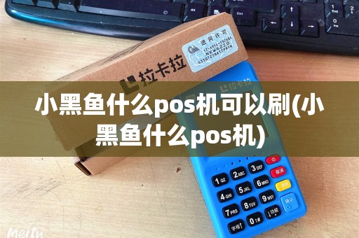 小黑鱼什么pos机可以刷(小黑鱼什么pos机)