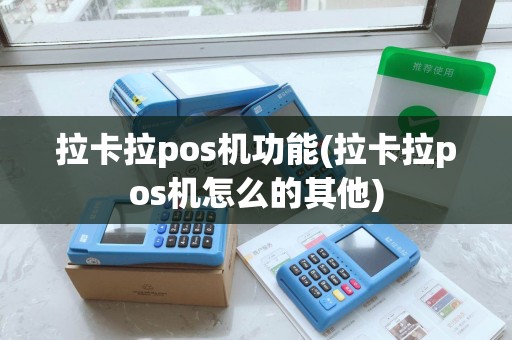 拉卡拉pos机功能(拉卡拉pos机怎么的其他)
