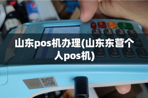 山东pos机办理(山东东营个人pos机)