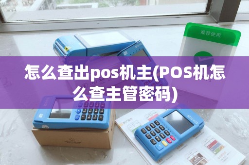怎么查出pos机主(POS机怎么查主管密码)