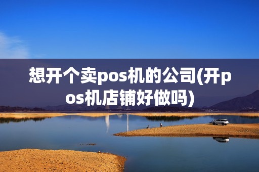 想开个卖pos机的公司(开pos机店铺好做吗)
