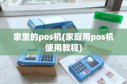 家里的pos机(家庭用pos机使用教程)