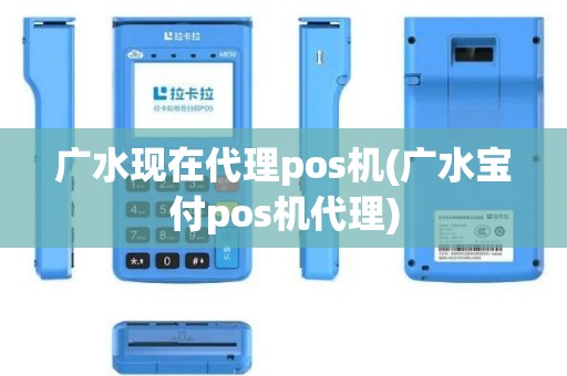 广水现在代理pos机(广水宝付pos机代理)