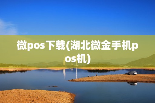 微pos下载(湖北微金手机pos机)