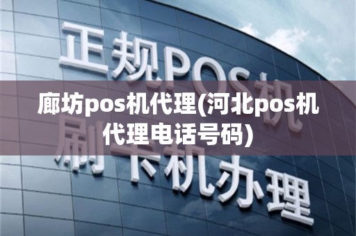 廊坊pos机代理(河北pos机代理电话号码)