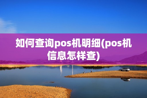 如何查询pos机明细(pos机信息怎样查)