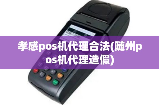 孝感pos机代理合法(随州pos机代理造假)