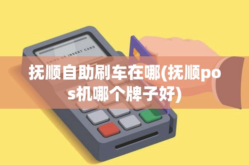 抚顺自助刷车在哪(抚顺pos机哪个牌子好)