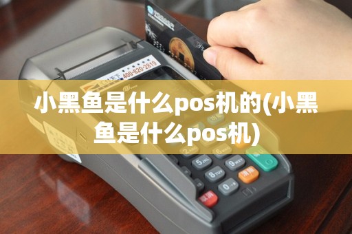小黑鱼是什么pos机的(小黑鱼是什么pos机)