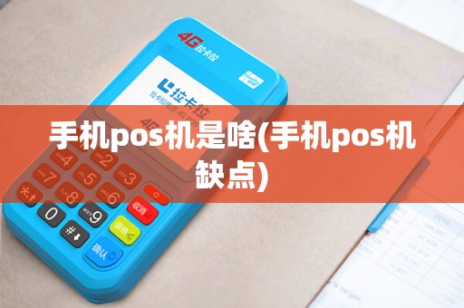 手机pos机是啥(手机pos机缺点)