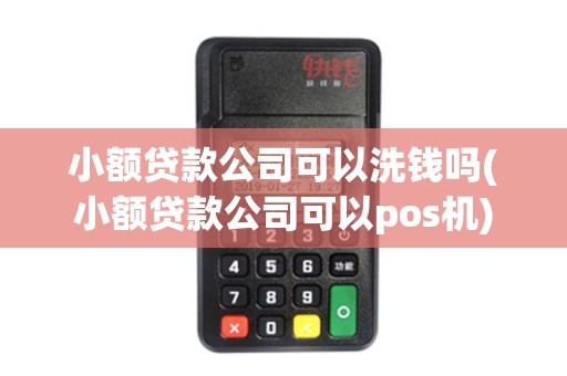 小额贷款公司可以洗钱吗(小额贷款公司可以pos机)