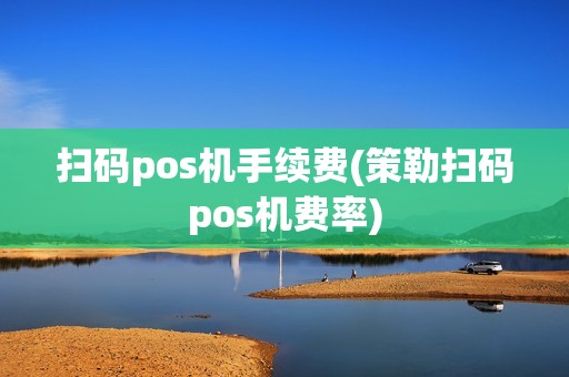 扫码pos机手续费(策勒扫码pos机费率)