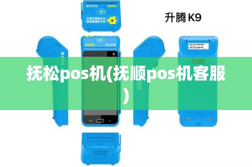 抚松pos机(抚顺pos机客服)