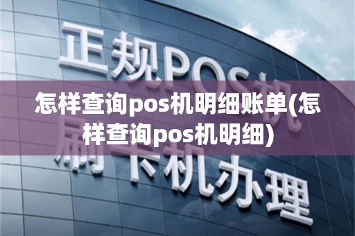 怎样查询pos机明细账单(怎样查询pos机明细)