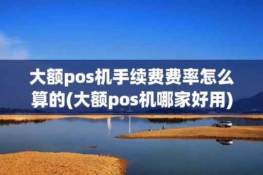 大额pos机手续费费率怎么算的(大额pos机哪家好用)