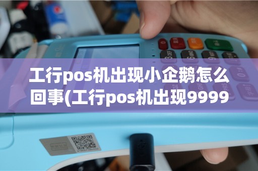 工行pos机出现小企鹅怎么回事(工行pos机出现9999)
