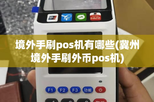 境外手刷pos机有哪些(冀州境外手刷外币pos机)