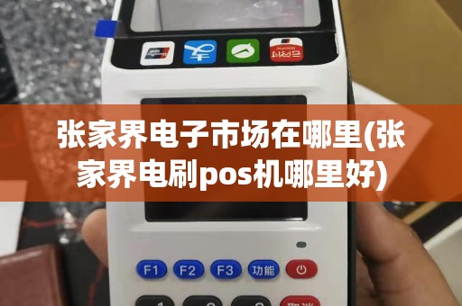 张家界电子市场在哪里(张家界电刷pos机哪里好)