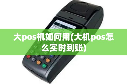 大pos机如何用(大机pos怎么实时到账)