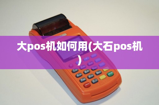 大pos机如何用(大石pos机)