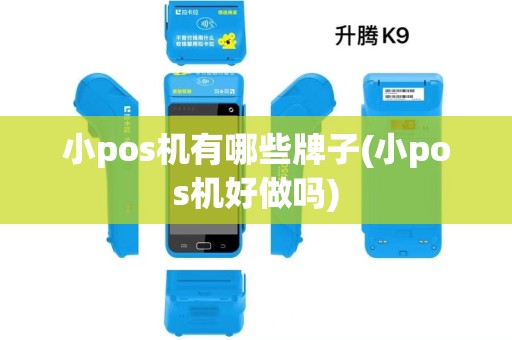 小pos机有哪些牌子(小pos机好做吗)