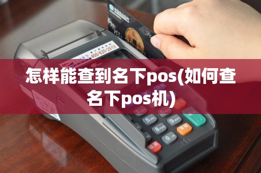 怎样能查到名下pos(如何查名下pos机)