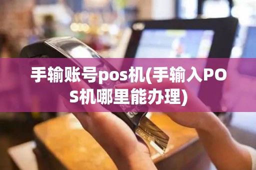 手输账号pos机(手输入POS机哪里能办理)