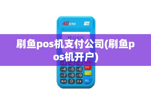 刷鱼pos机支付公司(刷鱼pos机开户)