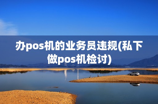 办pos机的业务员违规(私下做pos机检讨)