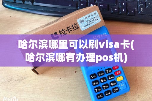 哈尔滨哪里可以刷visa卡(哈尔滨哪有办理pos机)