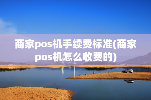 商家pos机手续费标准(商家pos机怎么收费的)