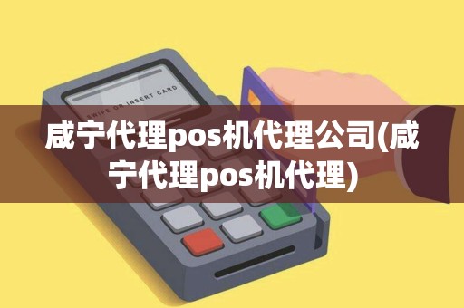咸宁代理pos机代理公司(咸宁代理pos机代理)