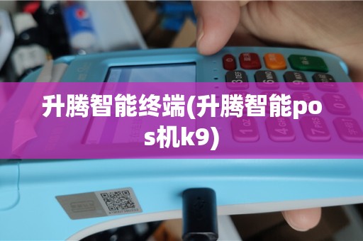 升腾智能终端(升腾智能pos机k9)