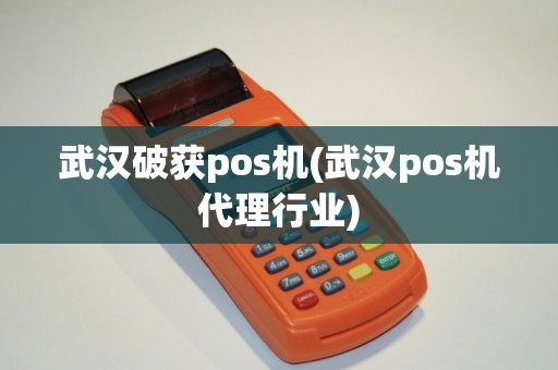 武汉破获pos机(武汉pos机代理行业)