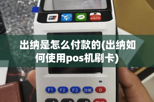 出纳是怎么付款的(出纳如何使用pos机刷卡)