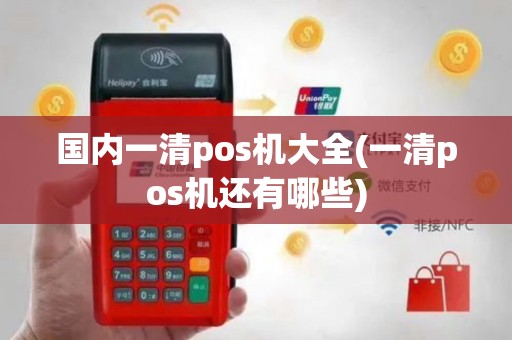 国内一清pos机大全(一清pos机还有哪些)