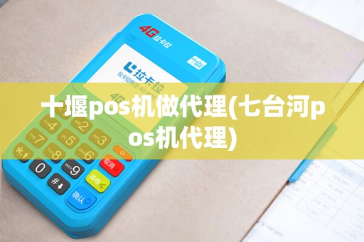 十堰pos机做代理(七台河pos机代理)