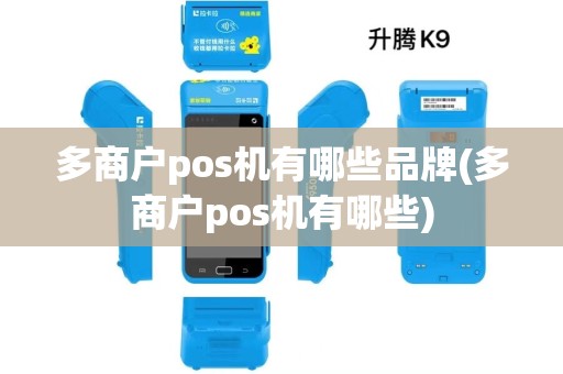 多商户pos机有哪些品牌(多商户pos机有哪些)