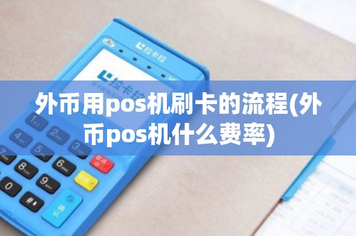 外币用pos机刷卡的流程(外币pos机什么费率)