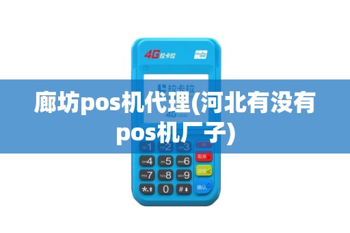 廊坊pos机代理(河北有没有pos机厂子)