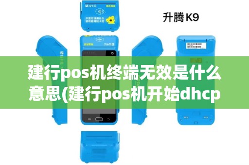 建行pos机终端无效是什么意思(建行pos机开始dhcp)
