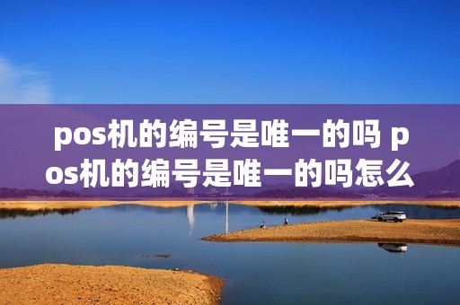 pos机的编号是唯一的吗 pos机的编号是唯一的吗怎么查