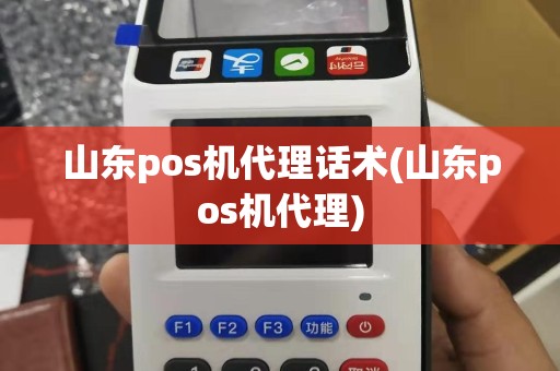 山东pos机代理话术(山东pos机代理)
