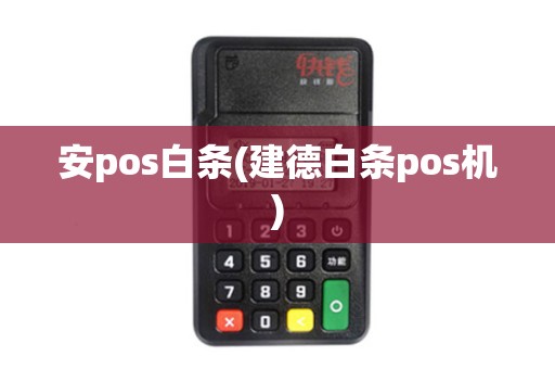 安pos白条(建德白条pos机)