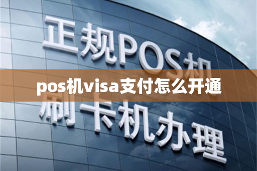 pos机visa支付怎么开通