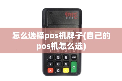 怎么选择pos机牌子(自己的pos机怎么选)
