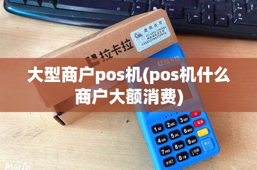大型商户pos机(pos机什么商户大额消费)