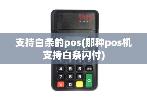 支持白条的pos(那种pos机支持白条闪付)