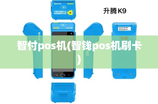 智付pos机(智钱pos机刷卡)